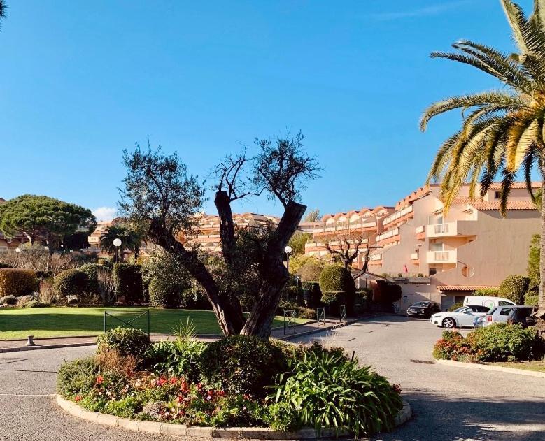 Antibes Secured Parc Velusine With Private Parking, Terrace, Pools And Tennis Courts. Kültér fotó