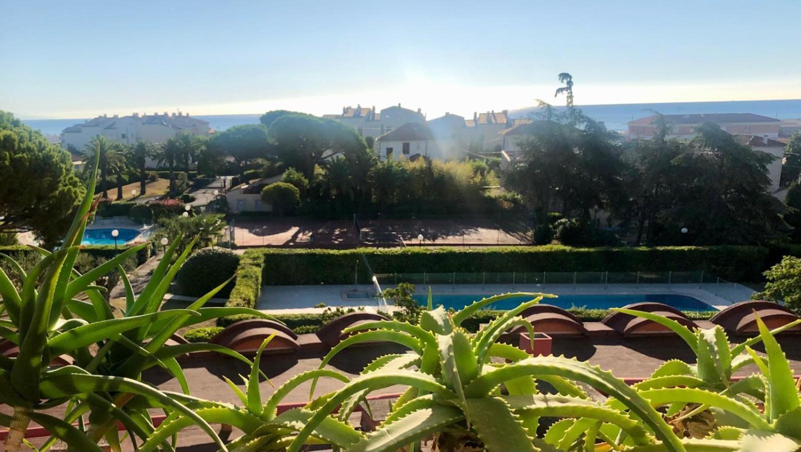 Antibes Secured Parc Velusine With Private Parking, Terrace, Pools And Tennis Courts. Kültér fotó